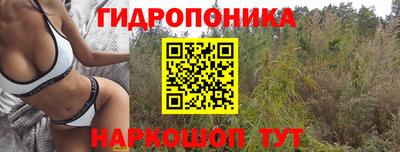 кристаллы Кингисепп