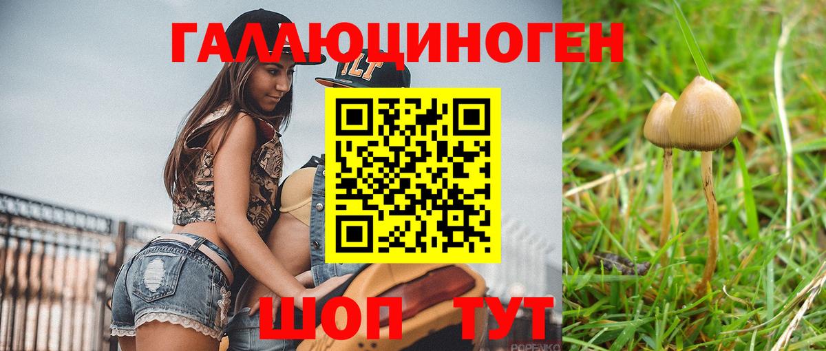 Галлюциногенные грибы GOLDEN TEACHER Коммунар